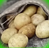  картофель журавинка описание сорта