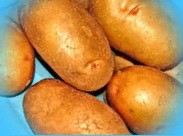  супер картофель