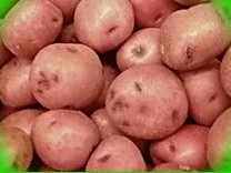  огород выращивание картофеля