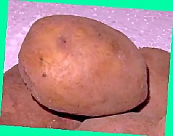  окучивание картофеля