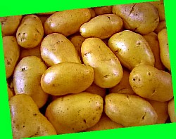  продажа картофеля в воронежской области
