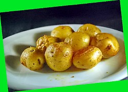  белорусские сорта картошки