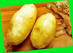  сорт картофеля рамона