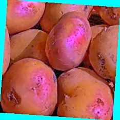  купить картофель в воронежской области