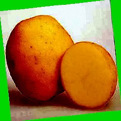  золотистый картофель