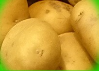  описание сортов картошки