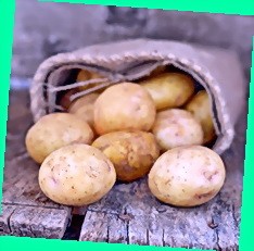  купить картофель белорусский