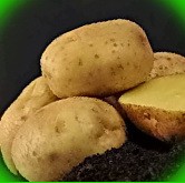  сорта картофеля для черноземья
