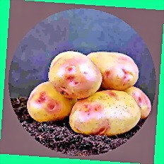  купить картофель в пензенской области
