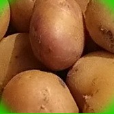  картофель в курской области